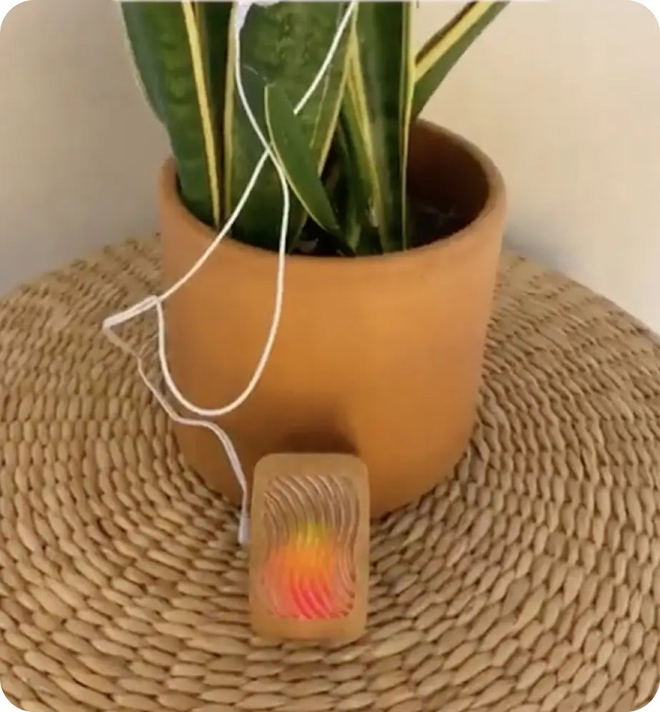 Plantwave sound box